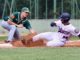 Montefiascone Baseball
